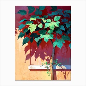 Tree In The Window Canvas Print