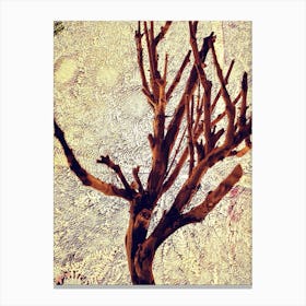 Bare Tree Canvas Print