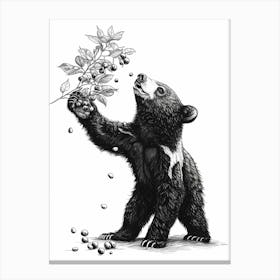 Malayan Sun Bear Standing And Reaching For Berries Ink Illustration 2 Canvas Print