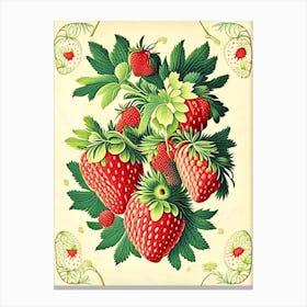 Bunch Of Strawberries, Fruit, Vintage Botanical 2 Canvas Print