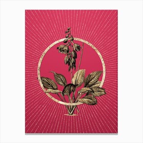 Gold Daylily Glitter Ring Botanical Art on Viva Magenta n.0062 Canvas Print