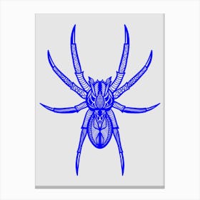 Pattern Blue Spider Canvas Print