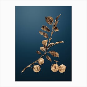 Gold Botanical Apricot on Dusk Blue Canvas Print
