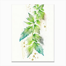 Hops Herb Minimalist Watercolour Canvas Print