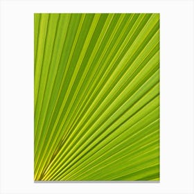 Lush Green Palm Leaf Macro Canvas Print