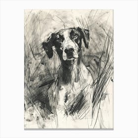 American Foxhound Dog Charcoal Line 1 Canvas Print