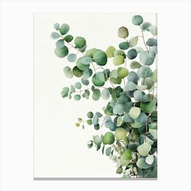 Eucalyptus Ii Canvas Print Canvas Print