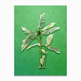 Vintage Scarlet Banana Botanical Art on Classic Green n.0685 Canvas Print