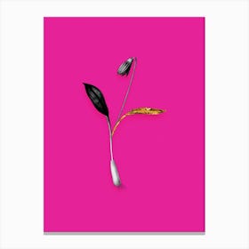 Vintage Erythronium Black and White Gold Leaf Floral Art on Hot Pink n.1223 Canvas Print