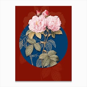 Vintage Botanical Italian Damask Rose on Circle Blue on Red n.0217 Canvas Print