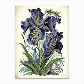 Iris Floral 2 Botanical Vintage Poster Flower Canvas Print