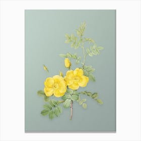 Vintage Yellow Sweetbriar Roses Botanical Art on Mint Green n.0025 Canvas Print