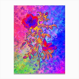 Red Sweetbriar Rose Botanical in Acid Neon Pink Green and Blue n.0305 Canvas Print