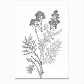 Coriander Herb William Morris Inspired Line Drawing 1 Canvas Print