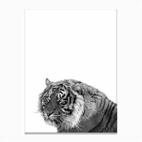 Monochrome Tiger Canvas Print