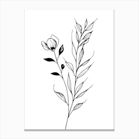 Lily Of The Valley Minimalist Line Art Monoline Illustration Canvas Print