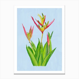 Vibrant pink and green Heliconia Tropical Flowers and leaves in Watercolor on blue Canvas Print