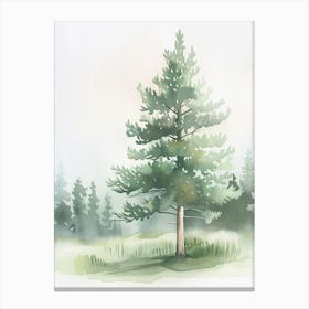 Balsam Tree Atmospheric Watercolour Painting 1 Canvas Print