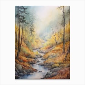 Autumn Forest Landscape Muir Woods National Park Canvas Print