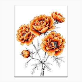 Orange Peonies Canvas Print