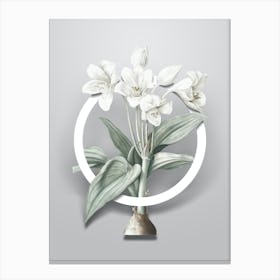 Vintage Crinum Giganteum Minimalist Botanical Geometric Circle on Soft Gray n.0055 Canvas Print