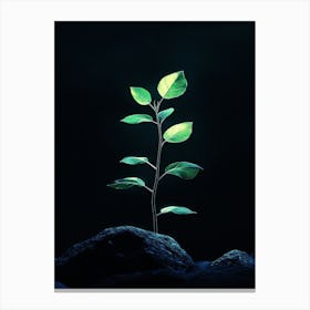 Tree Growing Out Of A Rock Canvas Print