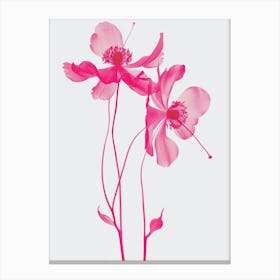 Hot Pink Columbine 2 Canvas Print