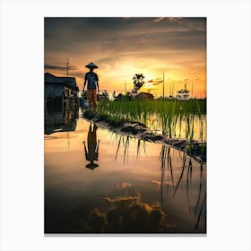 Sunset In The Rice Fields Canvas Print