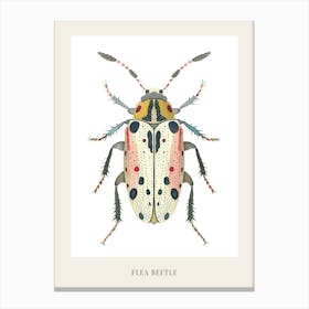 Colourful Insect Illustration Flea Beetle 21 Poster Canvas Print