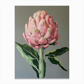 Artichoke 1 Canvas Print