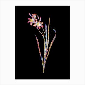 Stained Glass Ixia Tricolor Mosaic Botanical Illustration on Black n.0112 Canvas Print