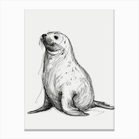 B&W Elephant Seal Canvas Print