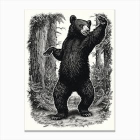 Malayan Sun Bear Dancing In The Woods Ink Illustration 1 Canvas Print