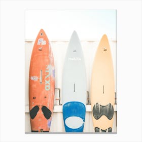 Three Surfboards Canvas Print