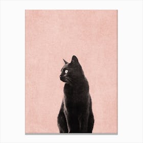 Black Cat Peach Canvas Print