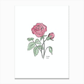 June Rose Birth Flower 1 Canvas Print