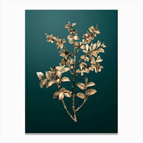 Gold Botanical Bilberry on Dark Teal n.2077 Canvas Print