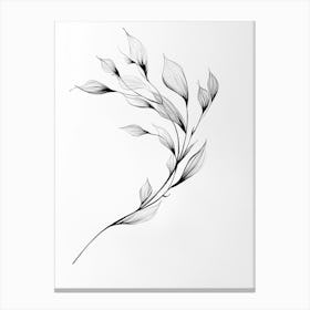 Ivy Leaf 2 Canvas Print