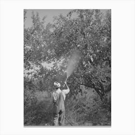Member Of Fsa (Farm Security Administration) Cooperative Spraying Fruit, Cache County, Utah By Russell Lee Canvas Print