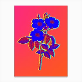 Neon Rose of Castile Botanical in Hot Pink and Electric Blue n.0009 Canvas Print