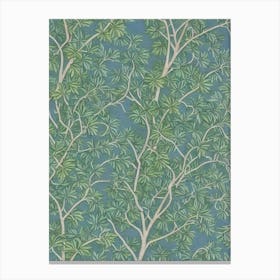 Chinese Elm tree Vintage Botanical Canvas Print