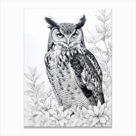 Philipine Eagle Owl Drawing 1 Canvas Print