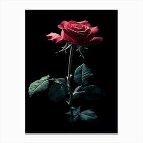 Red Rose 47 Canvas Print