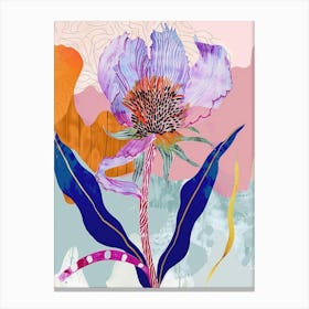 Colourful Flower Illustration Globe Amaranth 4 Canvas Print