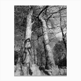 Trees in mono Canvas Print