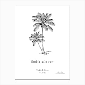 Florida Palm Trees 5 Canvas Print