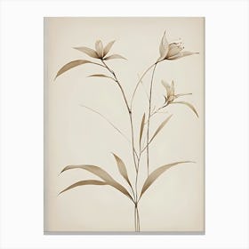 Lily Of The Valley Canvas Print