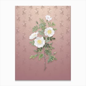 Vintage White Burnet Roses Botanical on Dusty Pink Pattern n.1899 Canvas Print