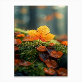 Autumn Leaves On Moss Canvas Print