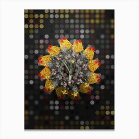 Vintage Weevil wort Floral Wreath on Dot Bokeh Pattern n.0164 Canvas Print